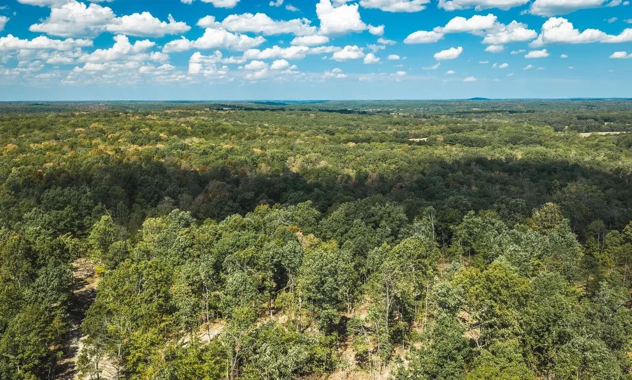 Buck Ridge 142 - Edgar Springs, Missouri, 65426