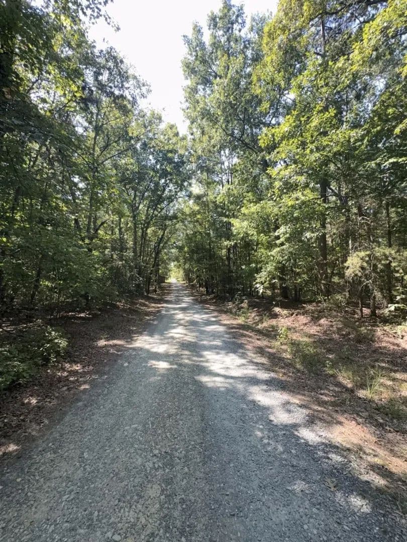 UNDER CONTRACT!!  18.5 Acres of Timber and Hunting Land for Sale in Davidson County NC! - Denton, North Carolina, 27239