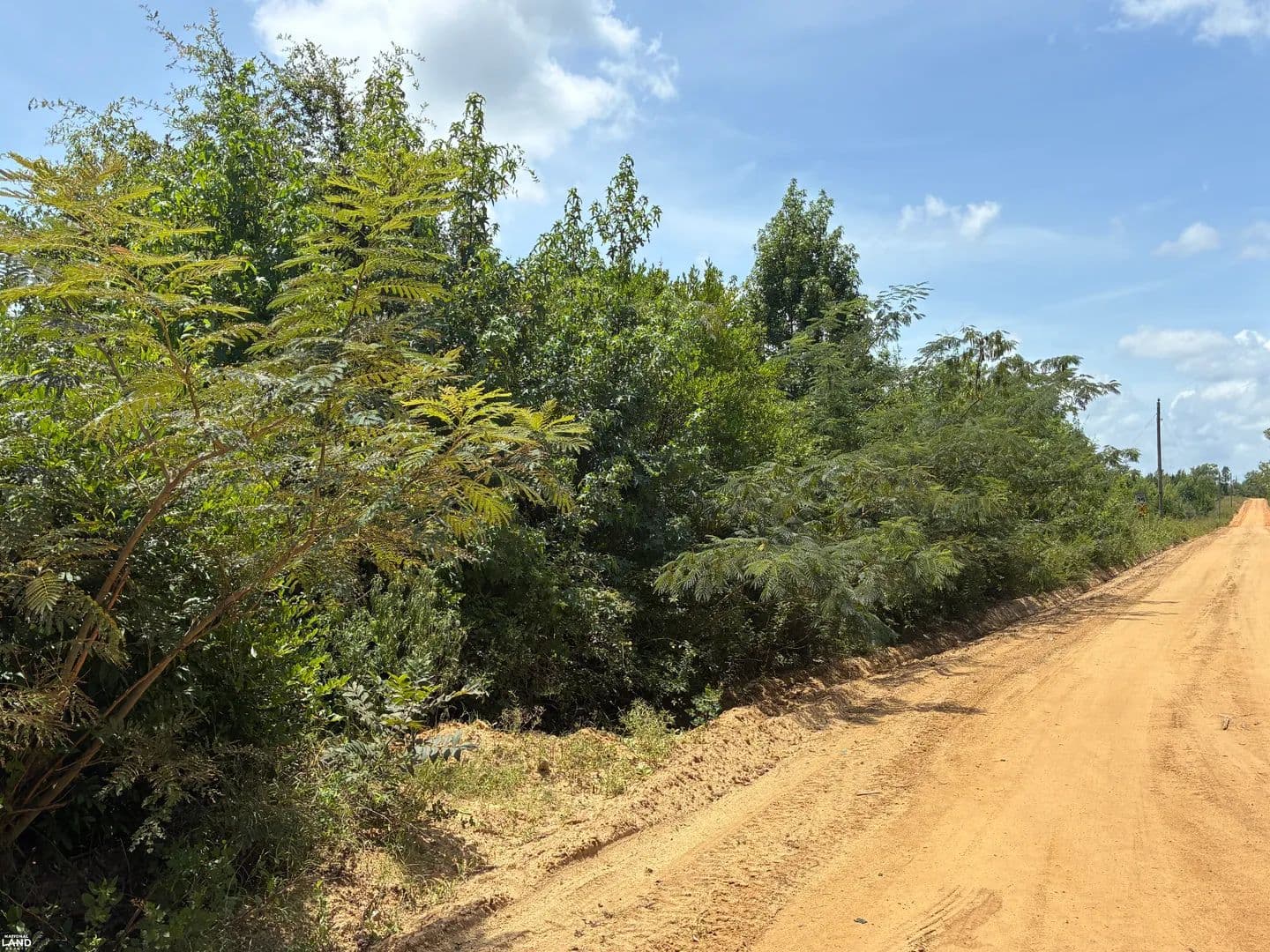 Homesites and Acerage - Rentz, Georgia, 31075