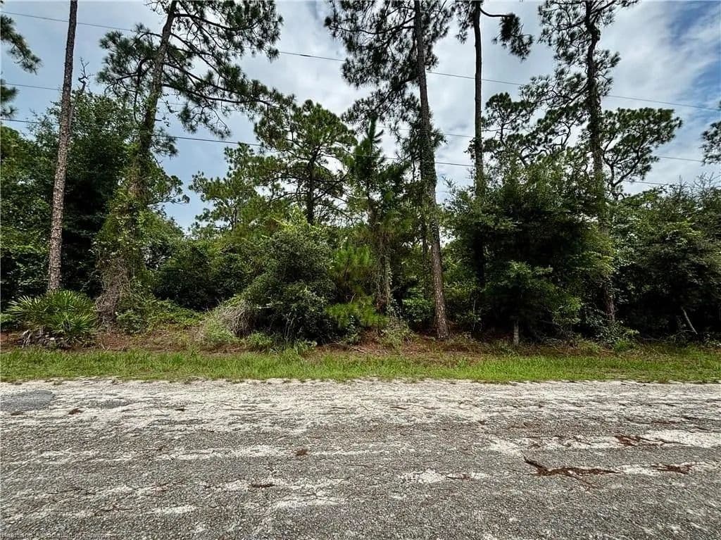 Lots & Land-Other in Lake Placid - Lake Placid, Florida, 33852