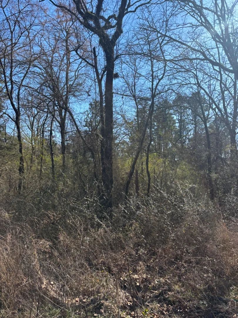 0.11 Acre Lot in Leflore County, OK 