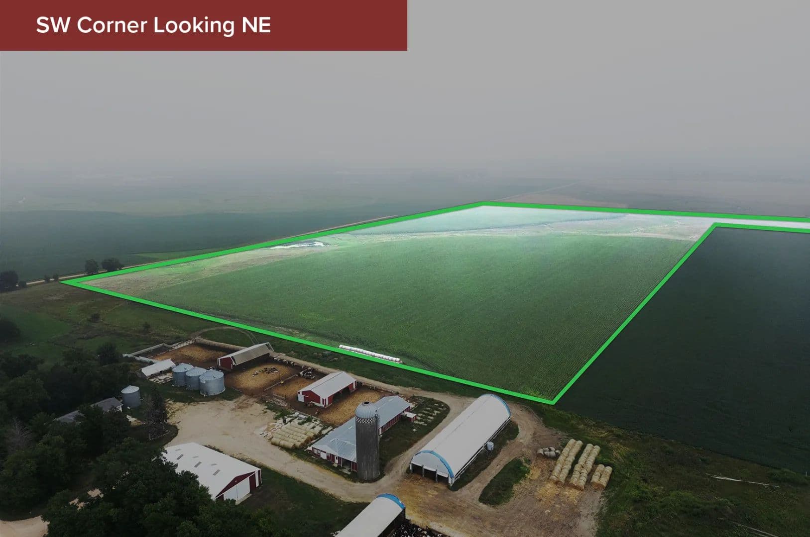 73.75± Acre Farm Sale Pipestone County - 