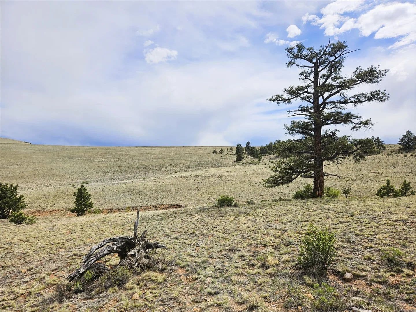7.83 Acres of Land for Sale in Hartsel, Colorado - Hartsel, Colorado, 80449