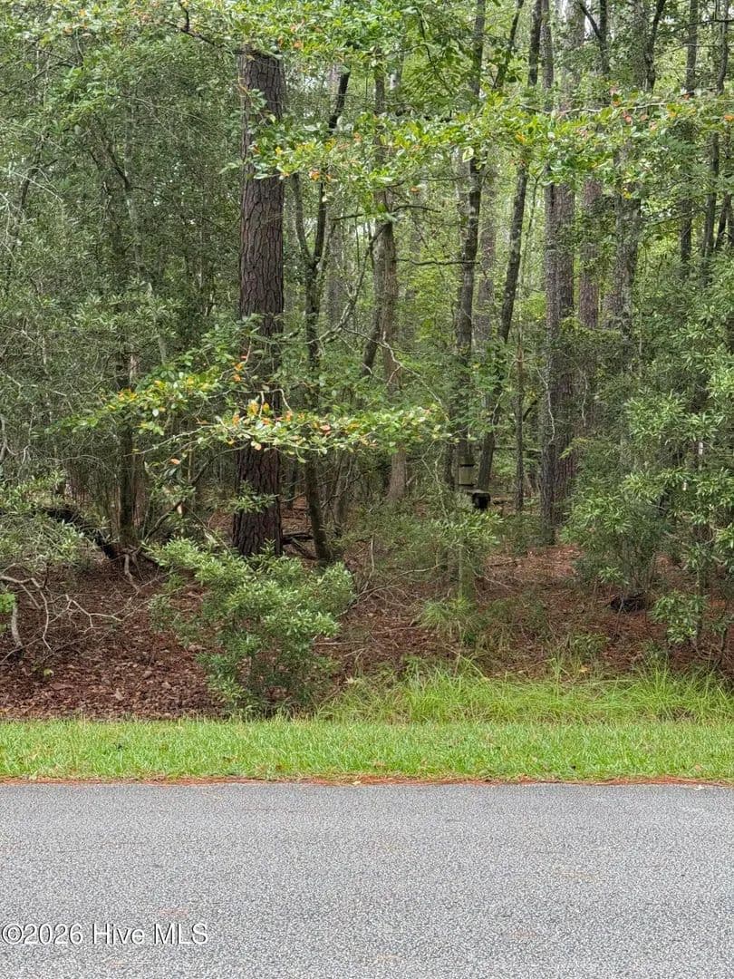 Vacant Land in Washington - Washington, North Carolina, 27889