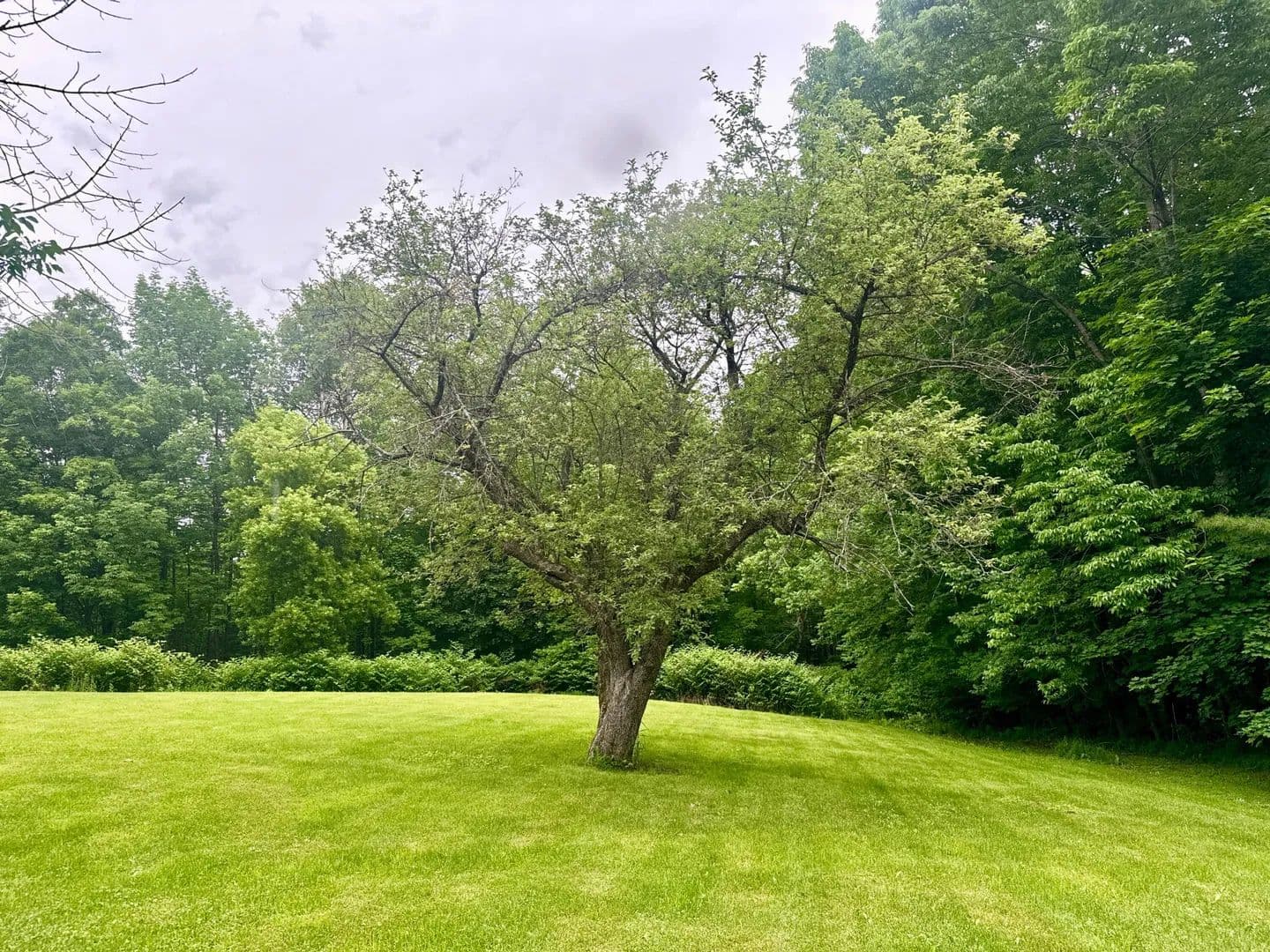 0.47 Acres of Land for Sale in Dover-Foxcroft, Maine - Dover-Foxcroft, Maine, 04426