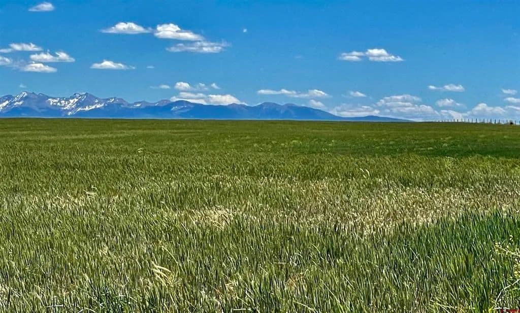 477 Acres of Land for Sale in Lewis, CO - Lewis, Colorado, 81327