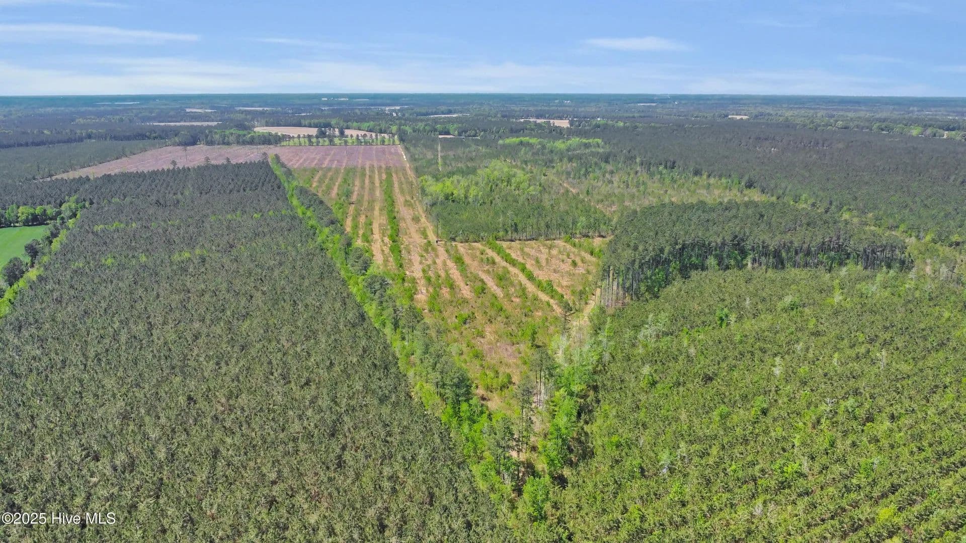 Vacant Land in Trenton - Trenton, North Carolina, 28585