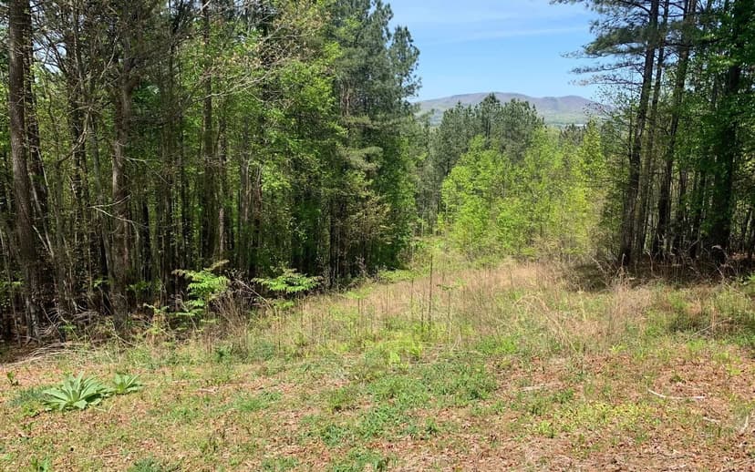 Lots & Land-Other in Blairsville