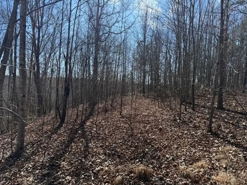 5.00+/-acres on South Pittsburg Mtn with scenic views and outdoor paradise