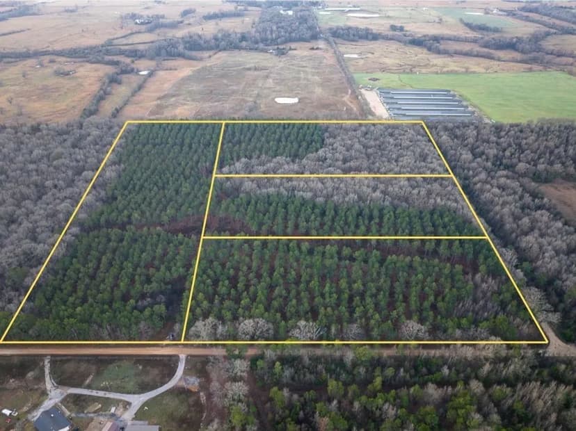 10 Acres | T-2 | County Road 4302 | 3706