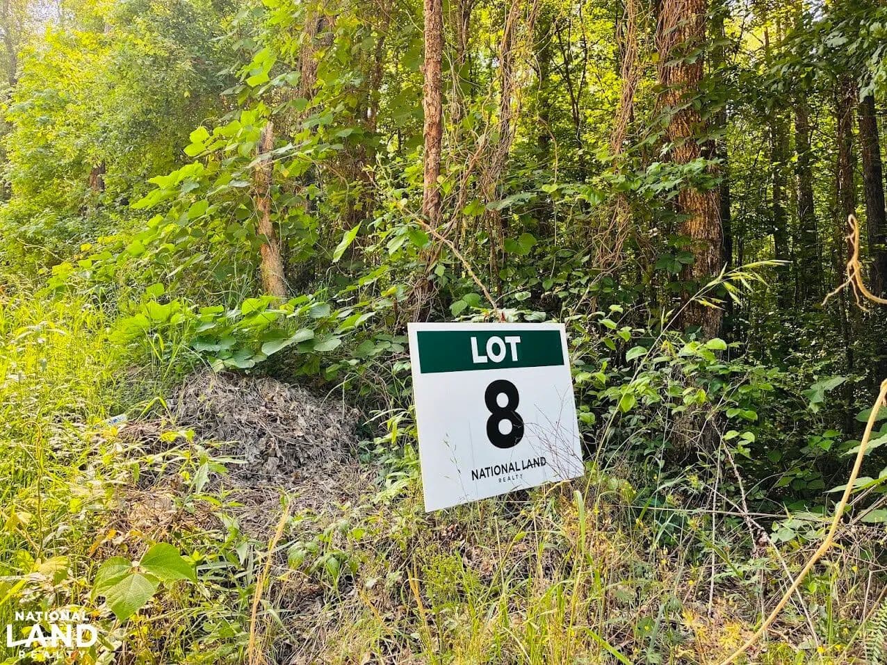 Creek Road Lot 8 - Ashland, Alabama, 36251