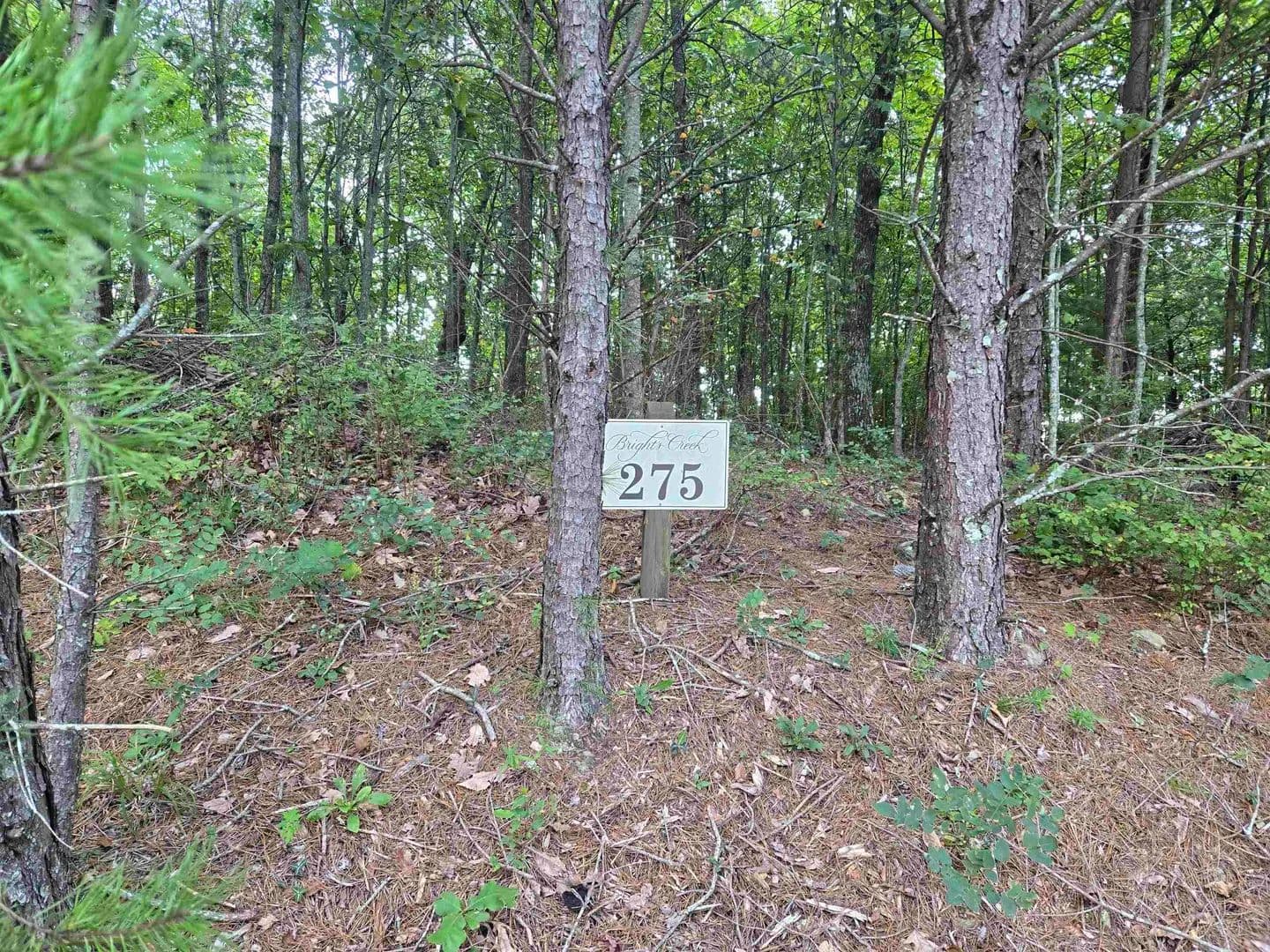 Vacant Land in Mill Spring - Mill Spring, North Carolina, 28756