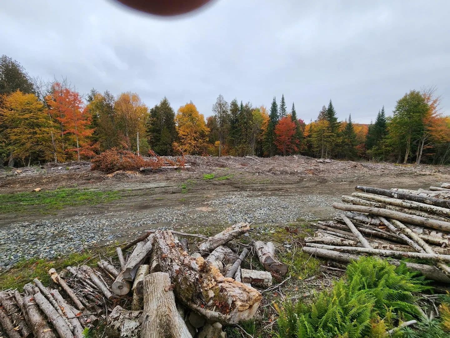 Lots & Land-Other in Morgan - Morgan, Vermont, 05853