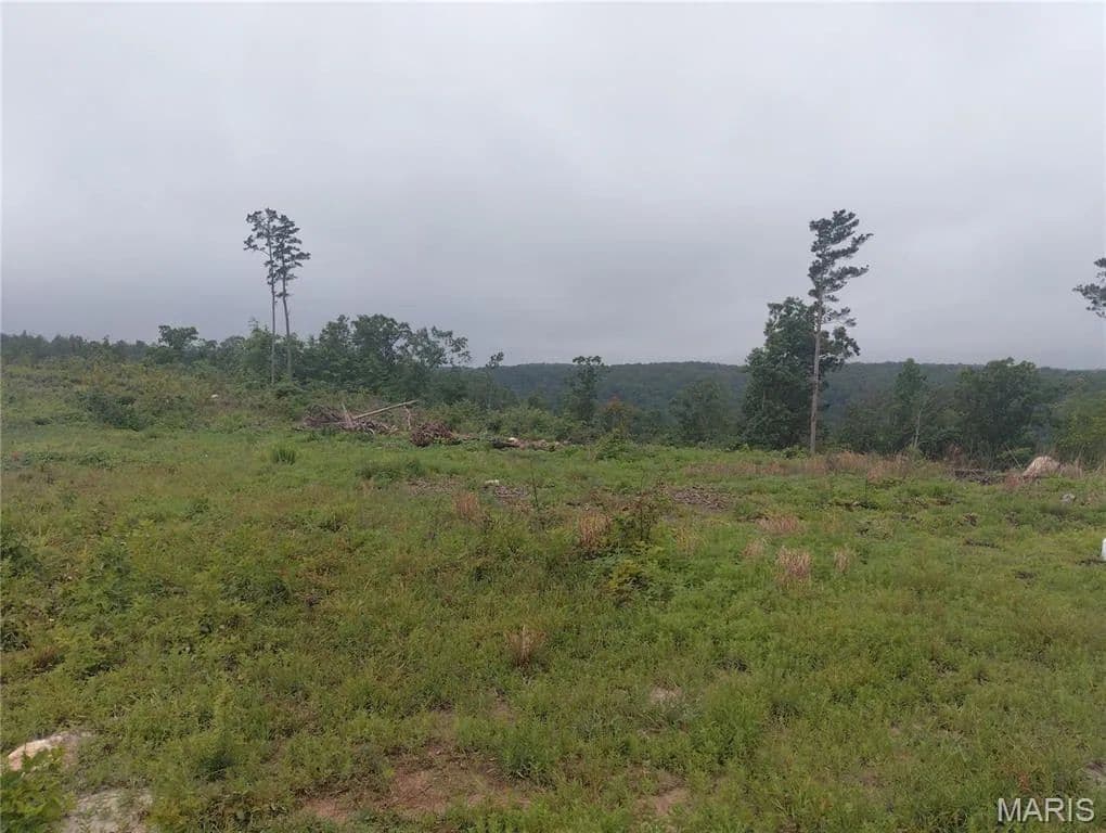 Property from 11 Tract 11 Off Hwy O - KW - Belleview, Missouri, 63623