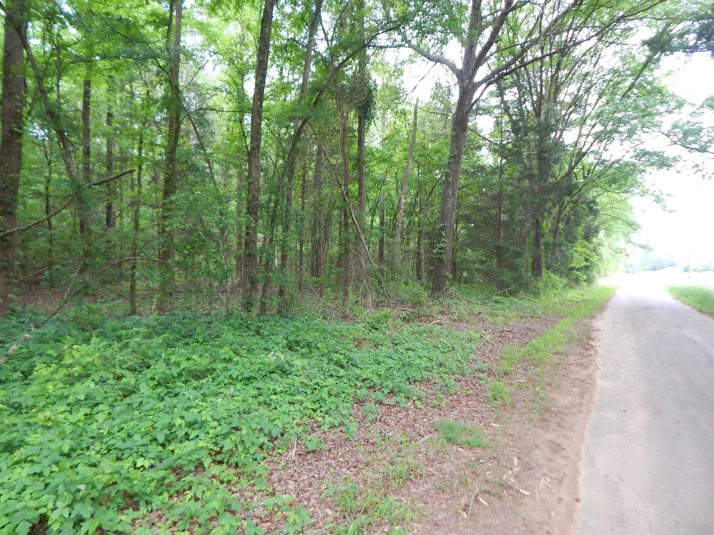 Vacant Land in Pittsburg - Pittsburg, Texas, 75686