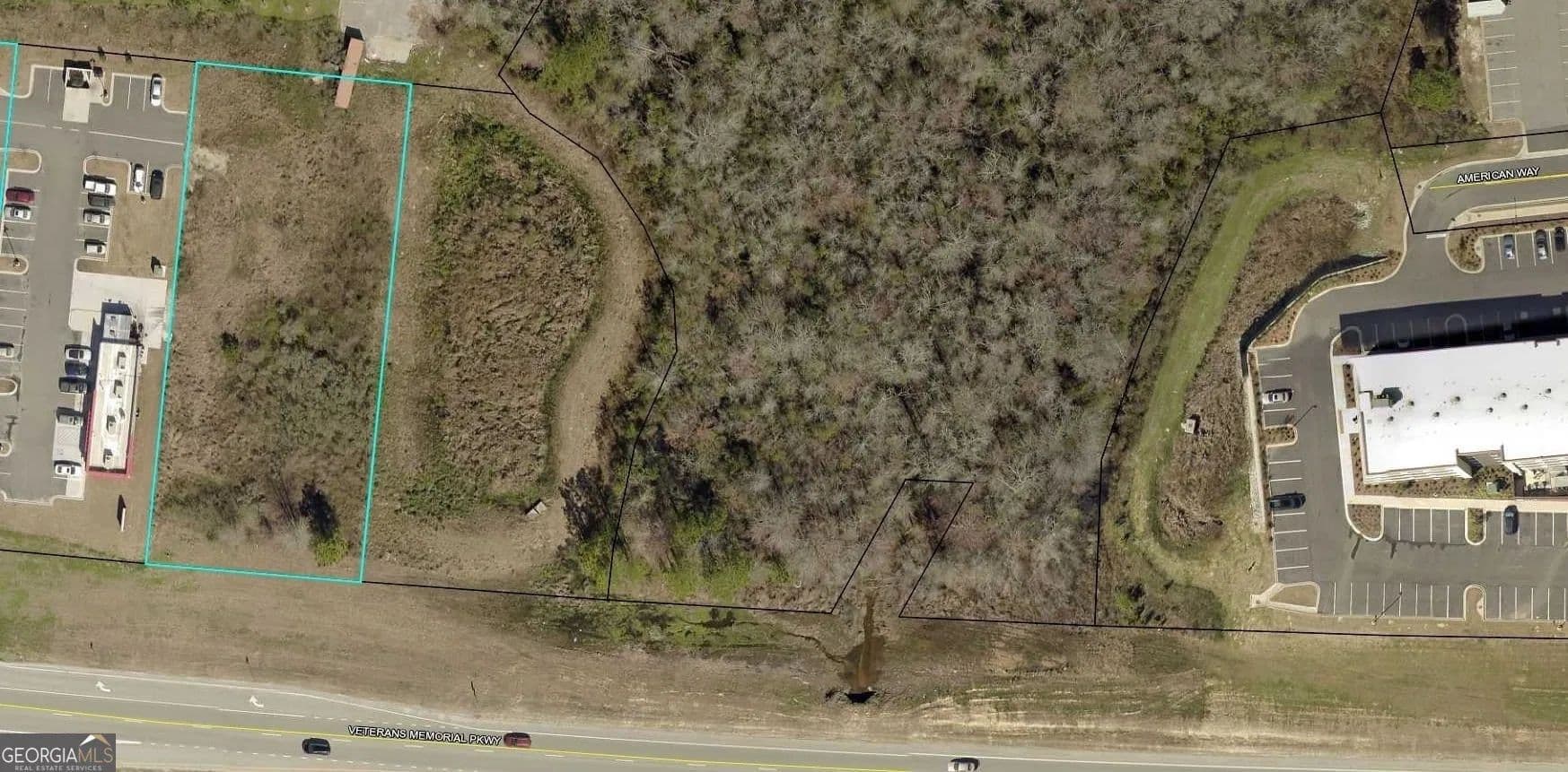 Vacant Land in Statesboro - Statesboro, Georgia, 30458