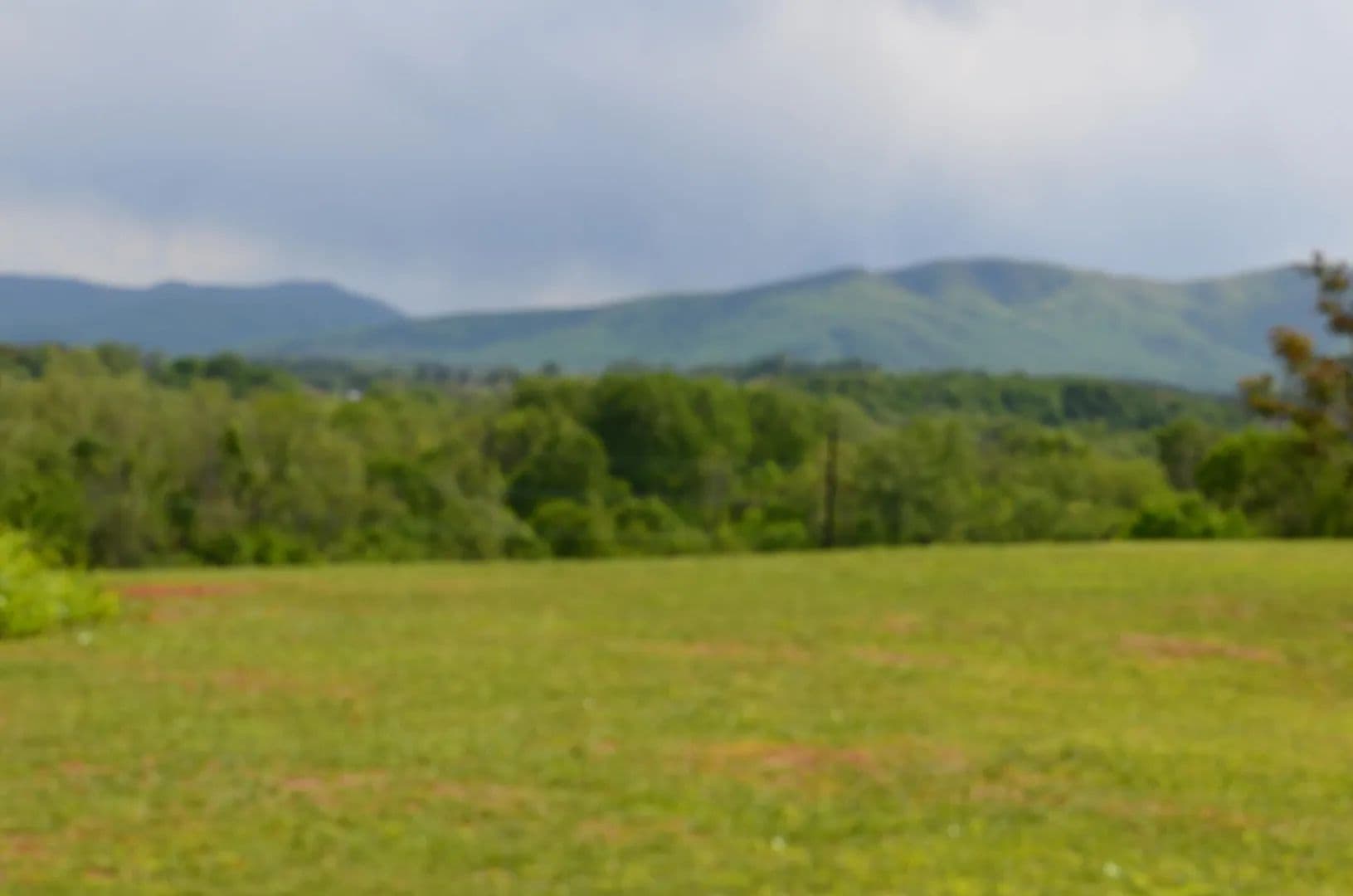 Vacant Land in Greeneville - Greeneville, Tennessee, 37743