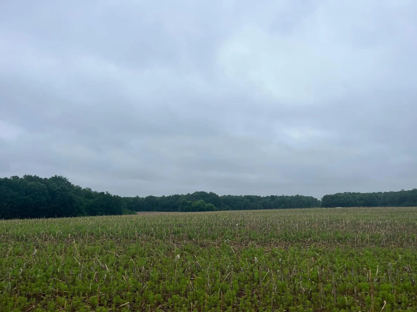 Property from TBD (Lot 1) Hemingway Avenue - KW - North Branch, Minnesota, 55056