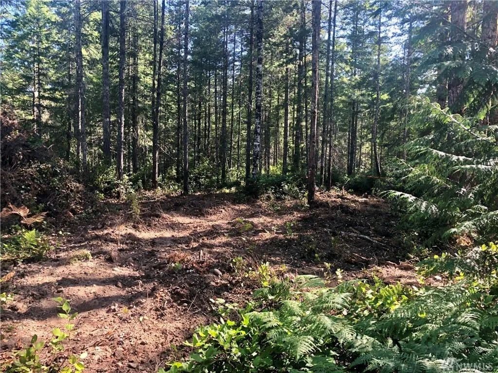 Vacant Land in Union - Union, Washington, 98592