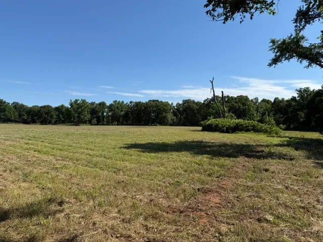 Land -Agricultural (Not Zoned) in Hartman - Hartman, Arkansas, 72840