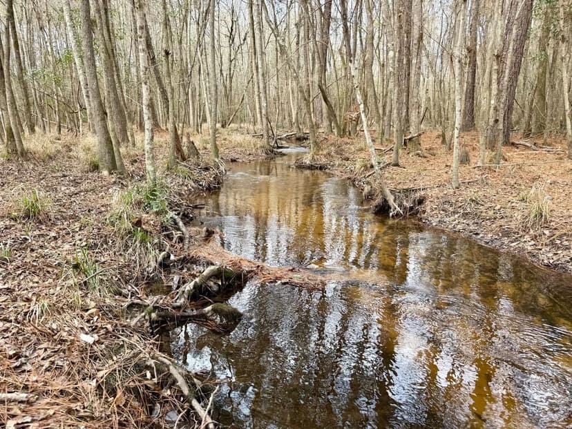 Spring Creek Retreat