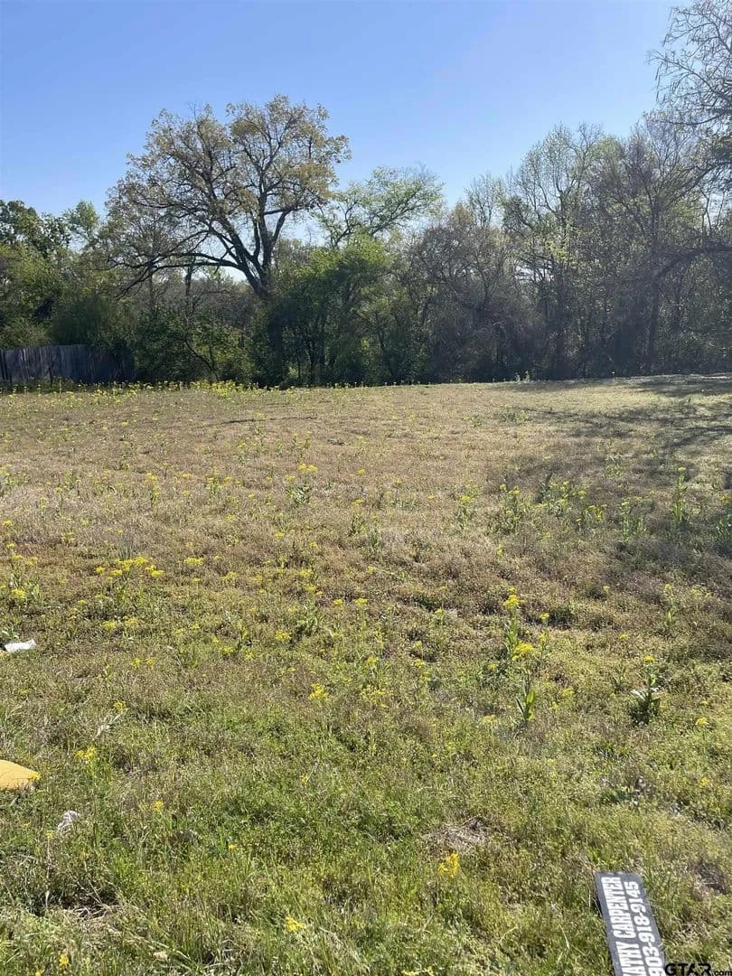 Lots & Land-Other in Winnsboro - Winnsboro, Texas, 75494
