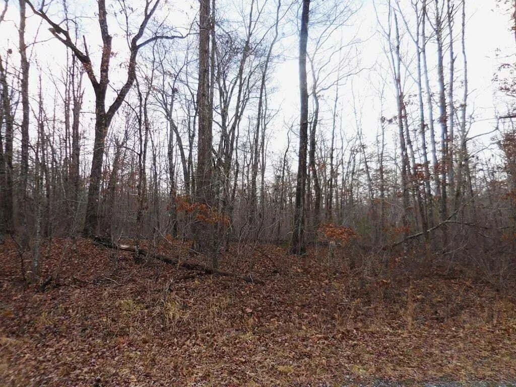 Lots & Land-Other in Crossville - Crossville, Tennessee, 38572