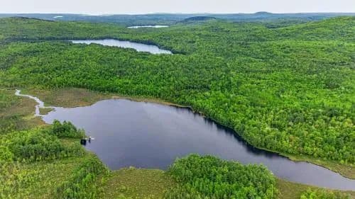 612 Acres of Land for Sale in Bucksport, Maine - Bucksport, Maine, 04416