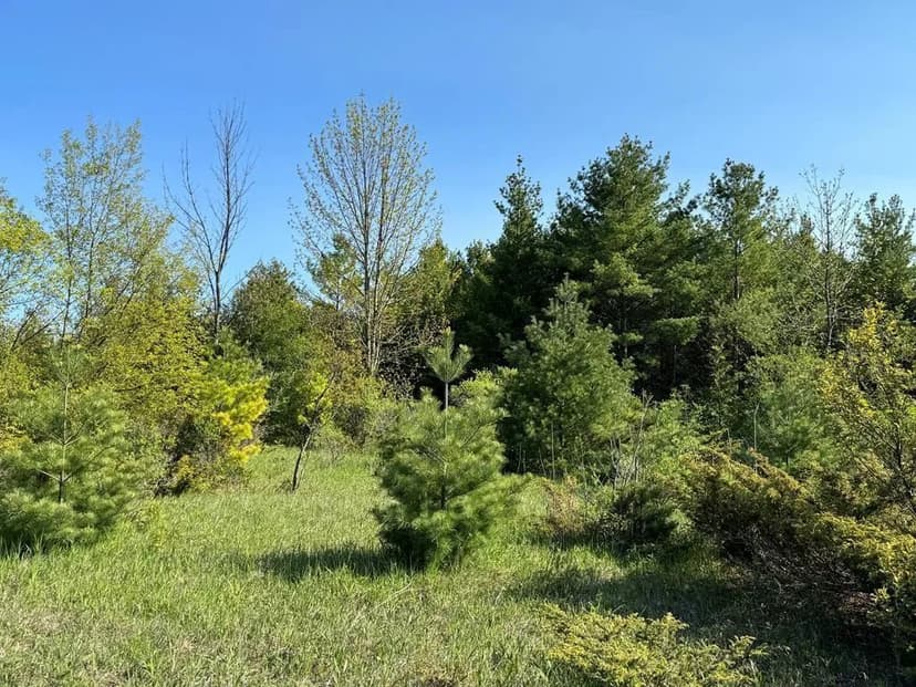 Land -Single Family Acreage in Egg Harbor