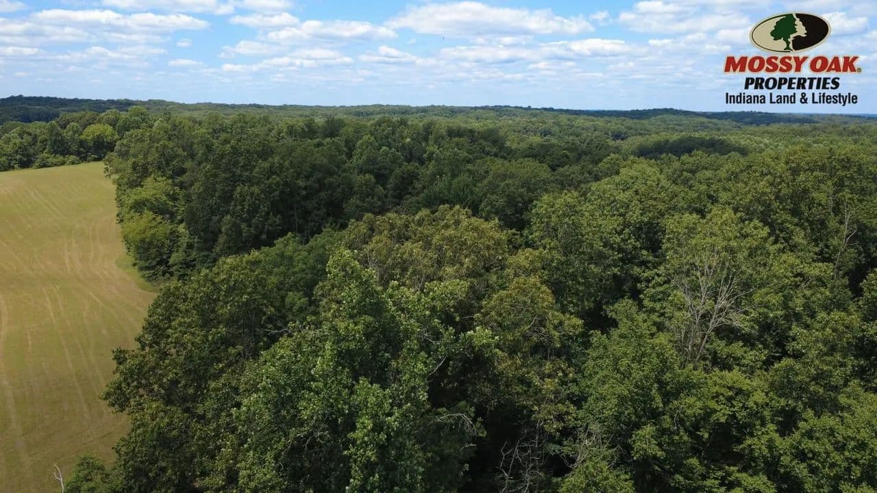 Greene County 80 - Bloomfield, Indiana, 47424