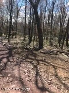Lots & Land-Other in Albrightsville - Albrightsville, Pennsylvania, 18210
