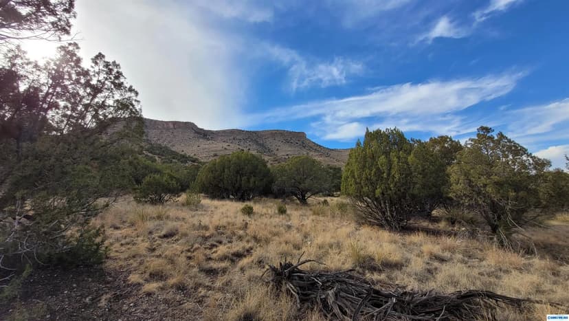 Vacant Land in Mimbres