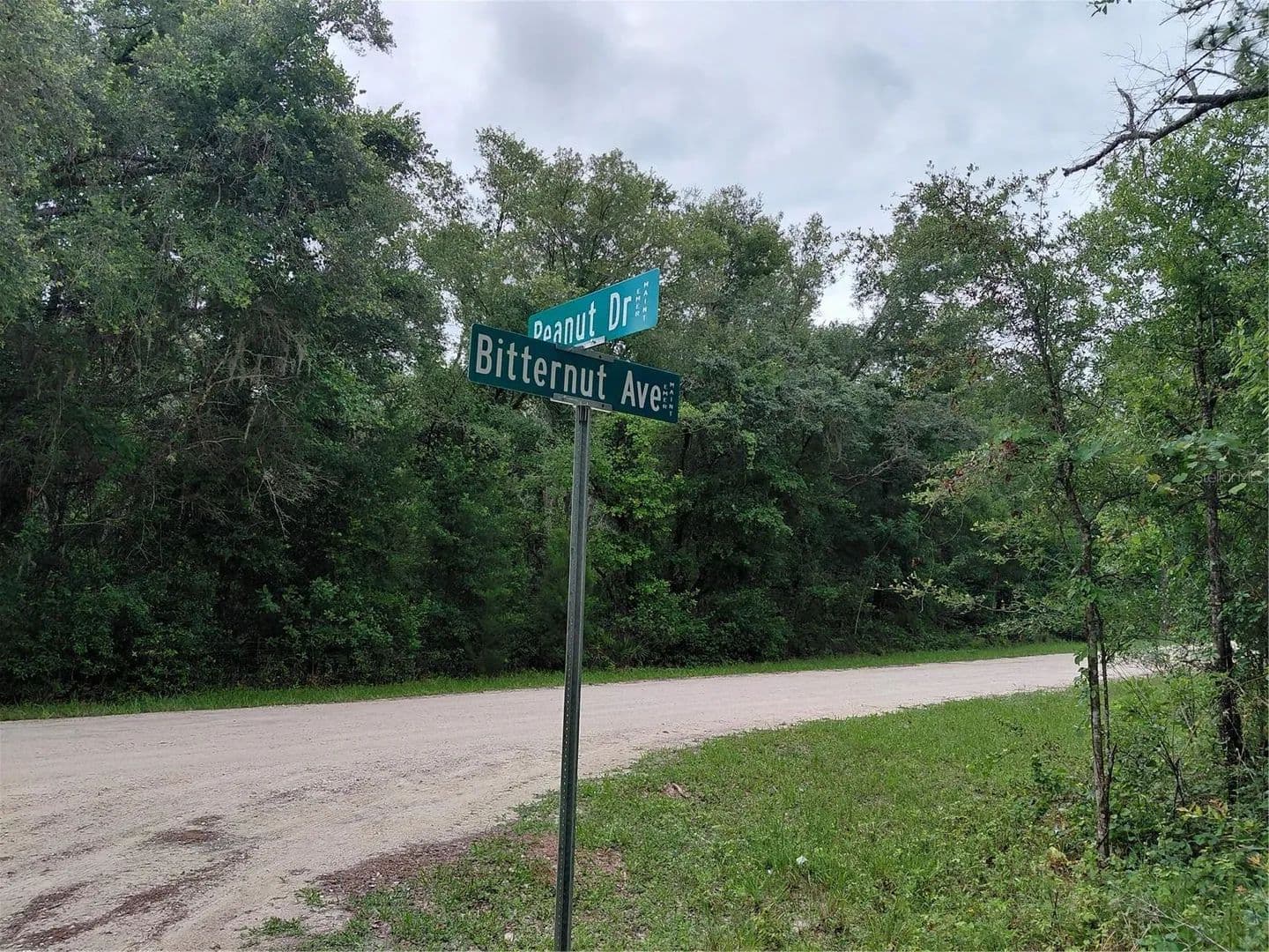 0.97 Acres of Land for Sale in Webster, Florida - Webster, Florida, 33597