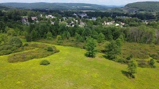 Land -Single Family Acreage in Bainbridge - Bainbridge, New York, 13733