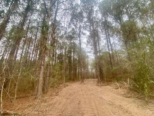 30 Acres | Marion County, MS