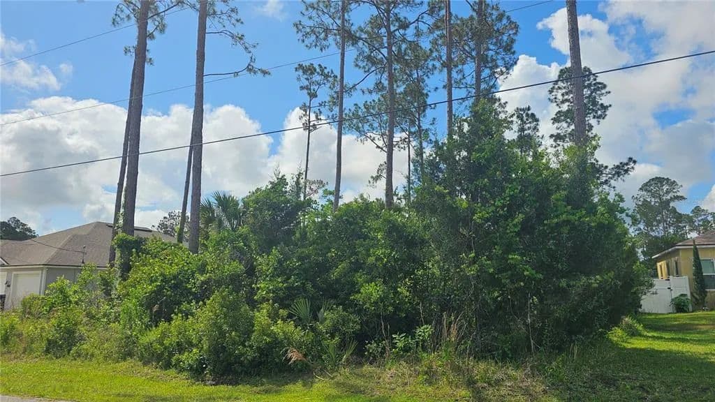 Vacant Land in Palm Coast - Palm Coast, Florida, 32164
