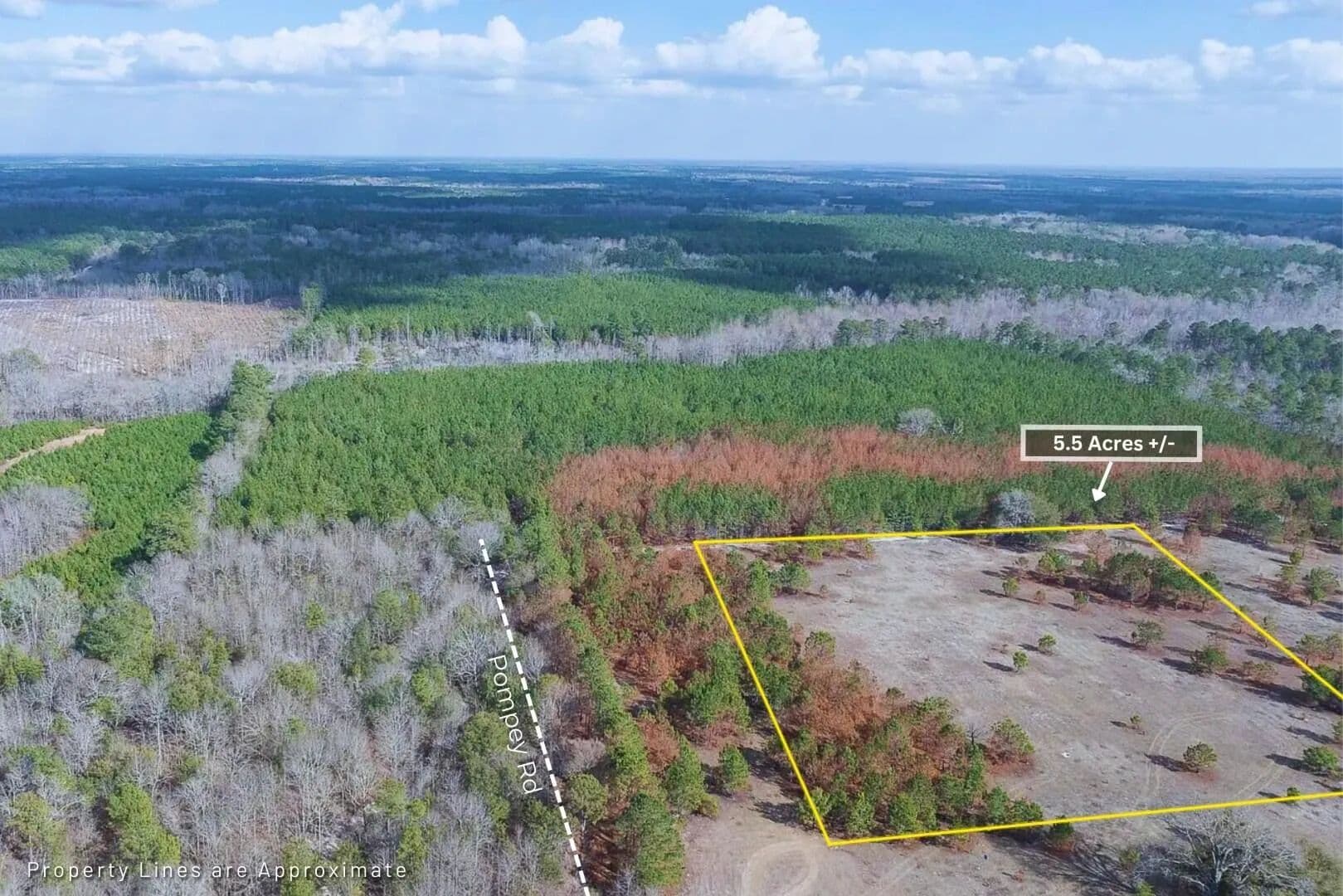Vacant Land in Manning - Manning, South Carolina, 29102