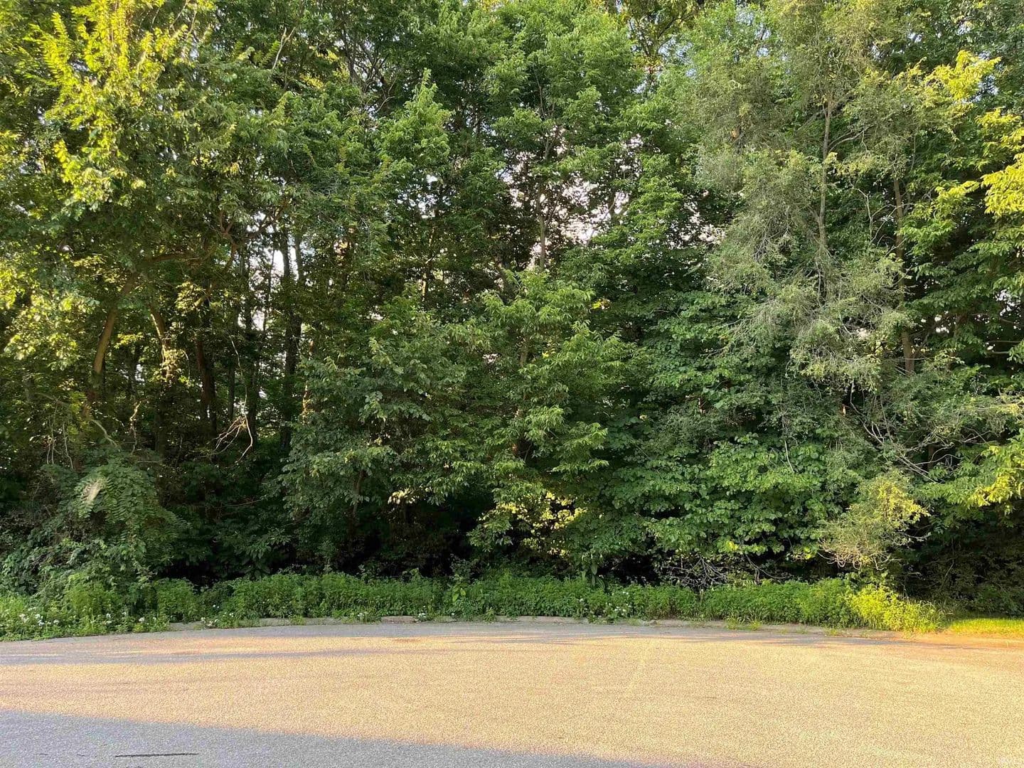 Vacant Land in Elkhart - Elkhart, Indiana, 46516
