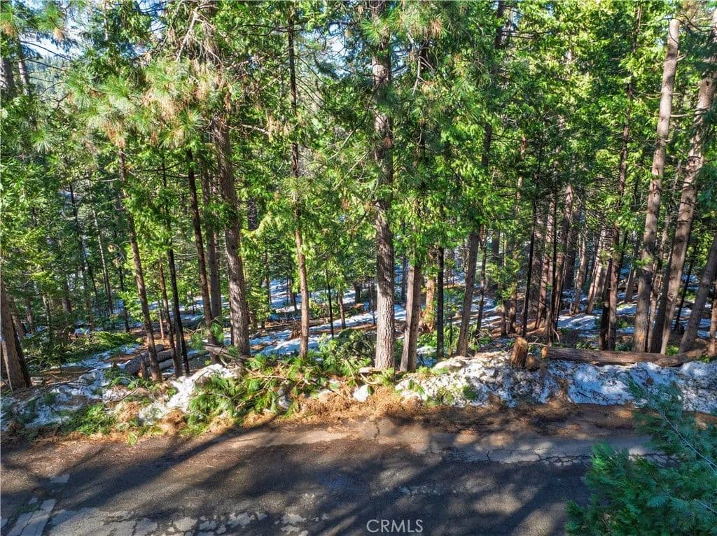 Vacant Land in Arnold - Arnold, California, 95223