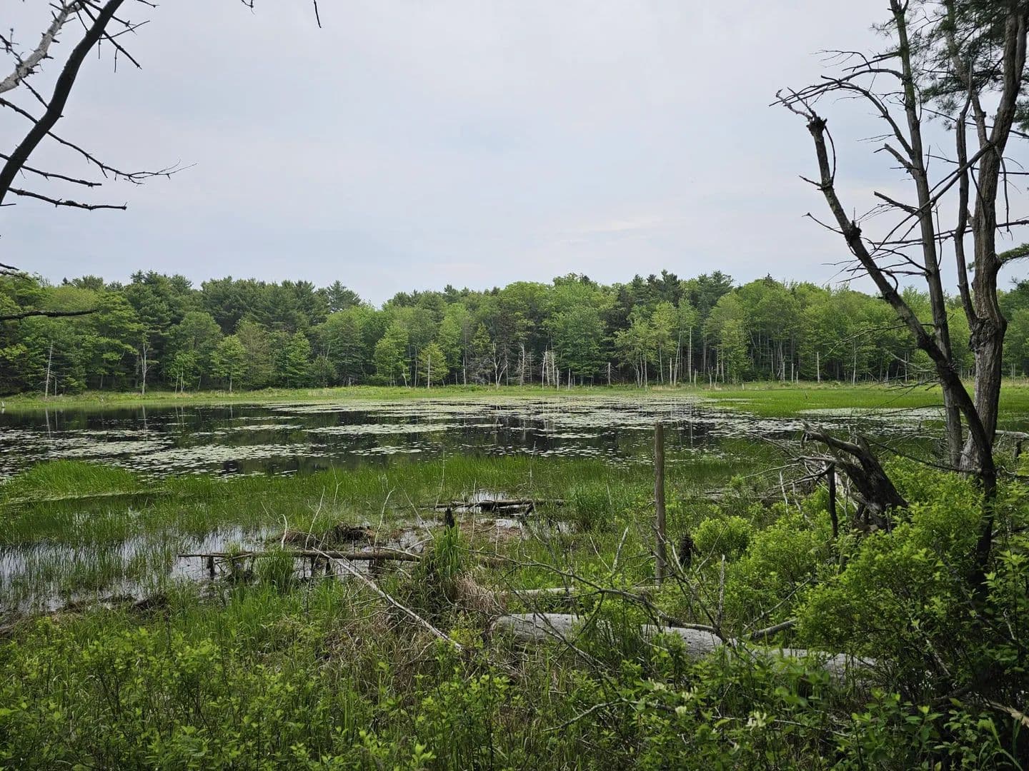 2.68 Acres of Land for Sale in Boothbay, Maine - Boothbay, Maine, 04537