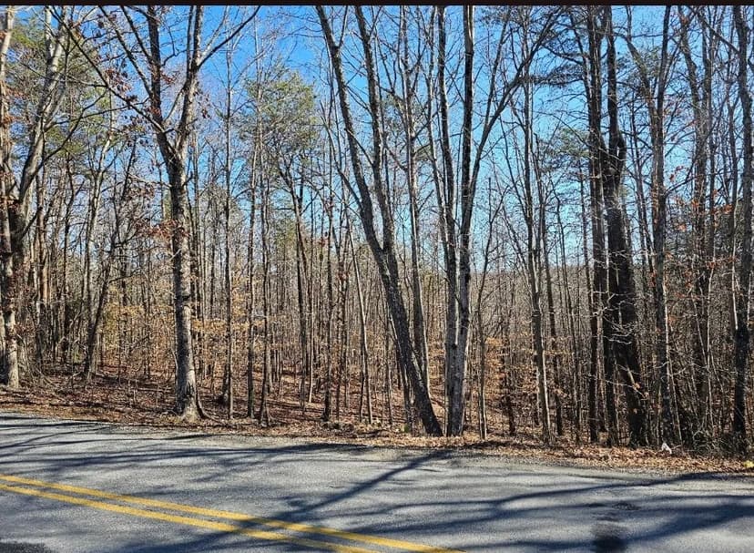 Vacant Land (0-10 Acres) in Martinsville