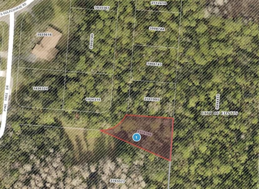 Lots & Land-Other in EUSTIS