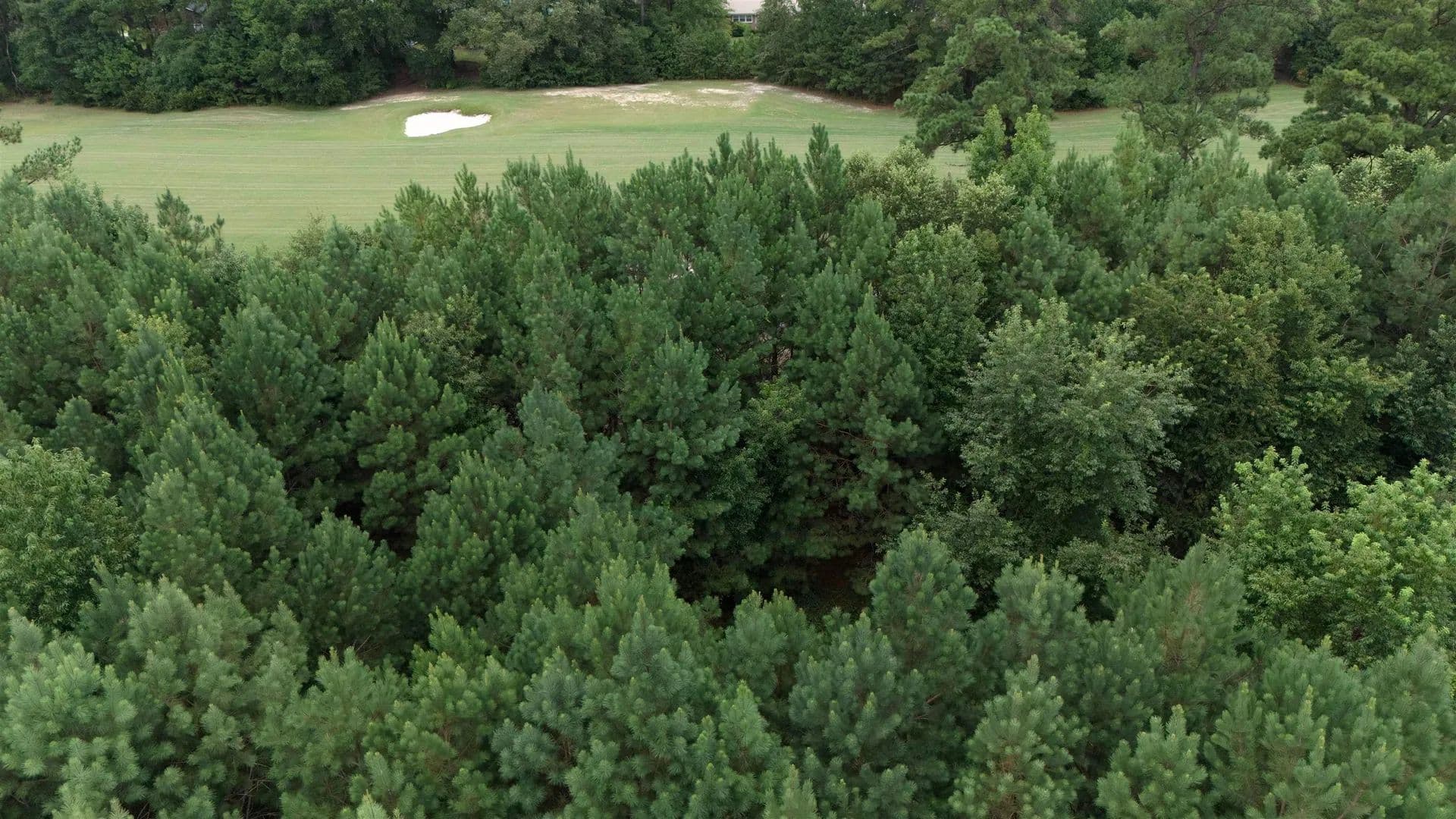 Lots & Land-Other in Johnsonville - Johnsonville, South Carolina, 29555
