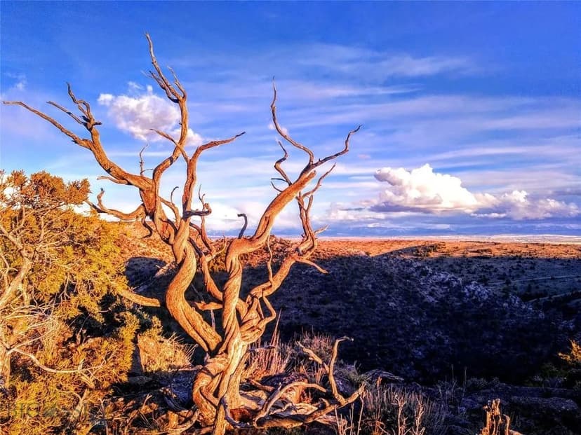 Property from 188 Reservoir Cutoff - KW