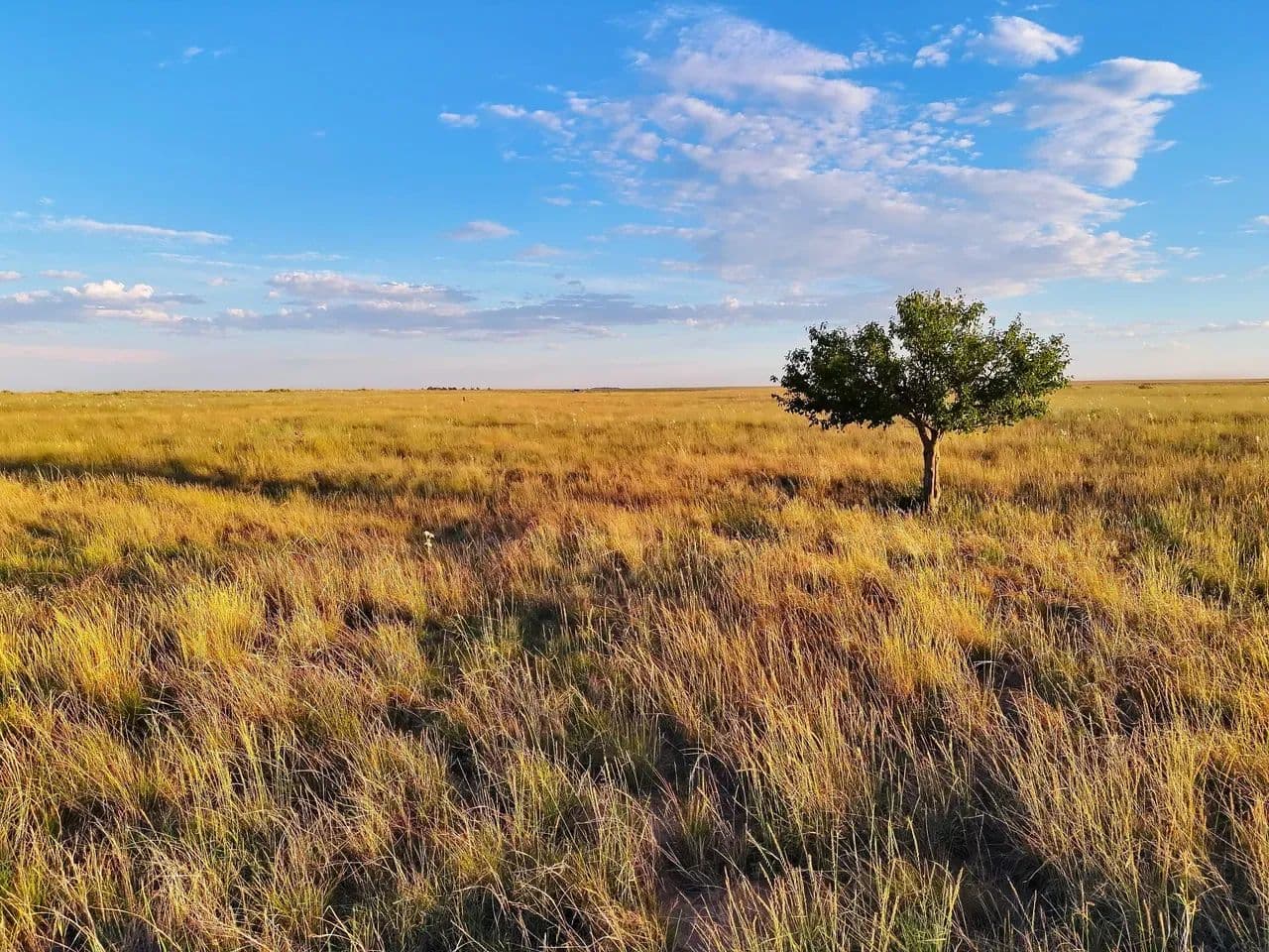 CRP Income Parcel with Recreational Opportunities - Walsh, Colorado, 81090