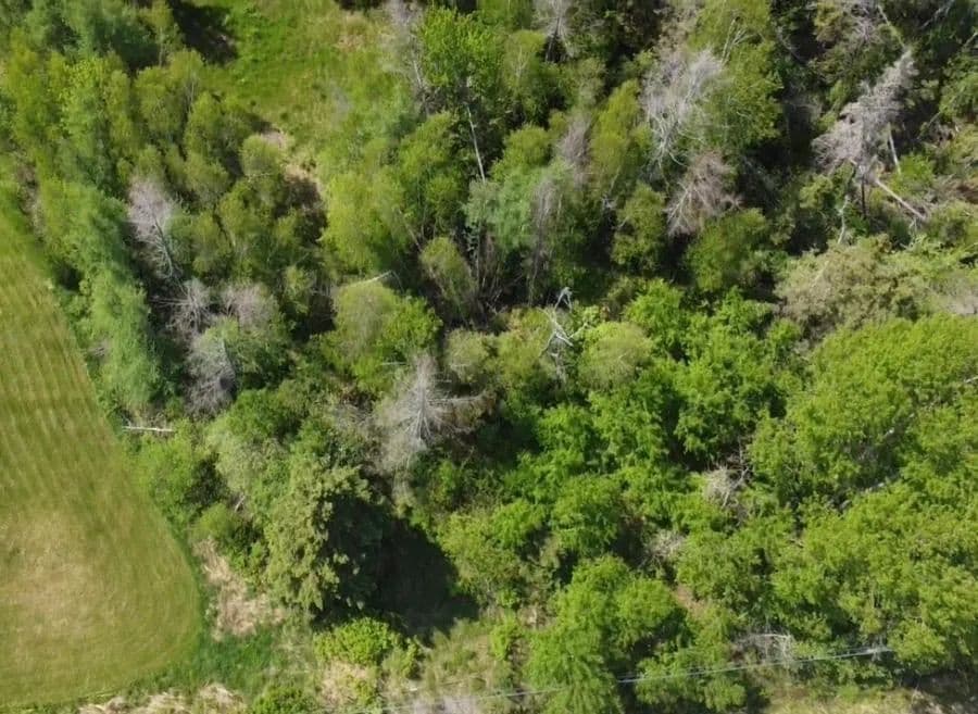 0.55 Acres of Land for Sale in Wallace, 6 Trunk Highway #No - Canada