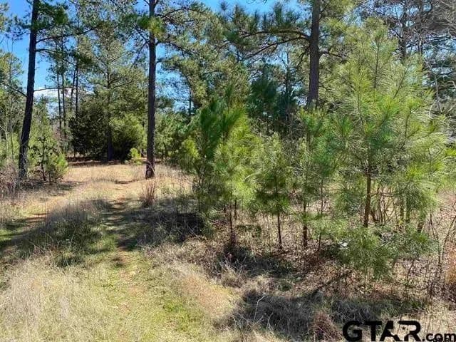 Land -Single Family Acreage in Jacksonville - Jacksonville, Texas, 75766