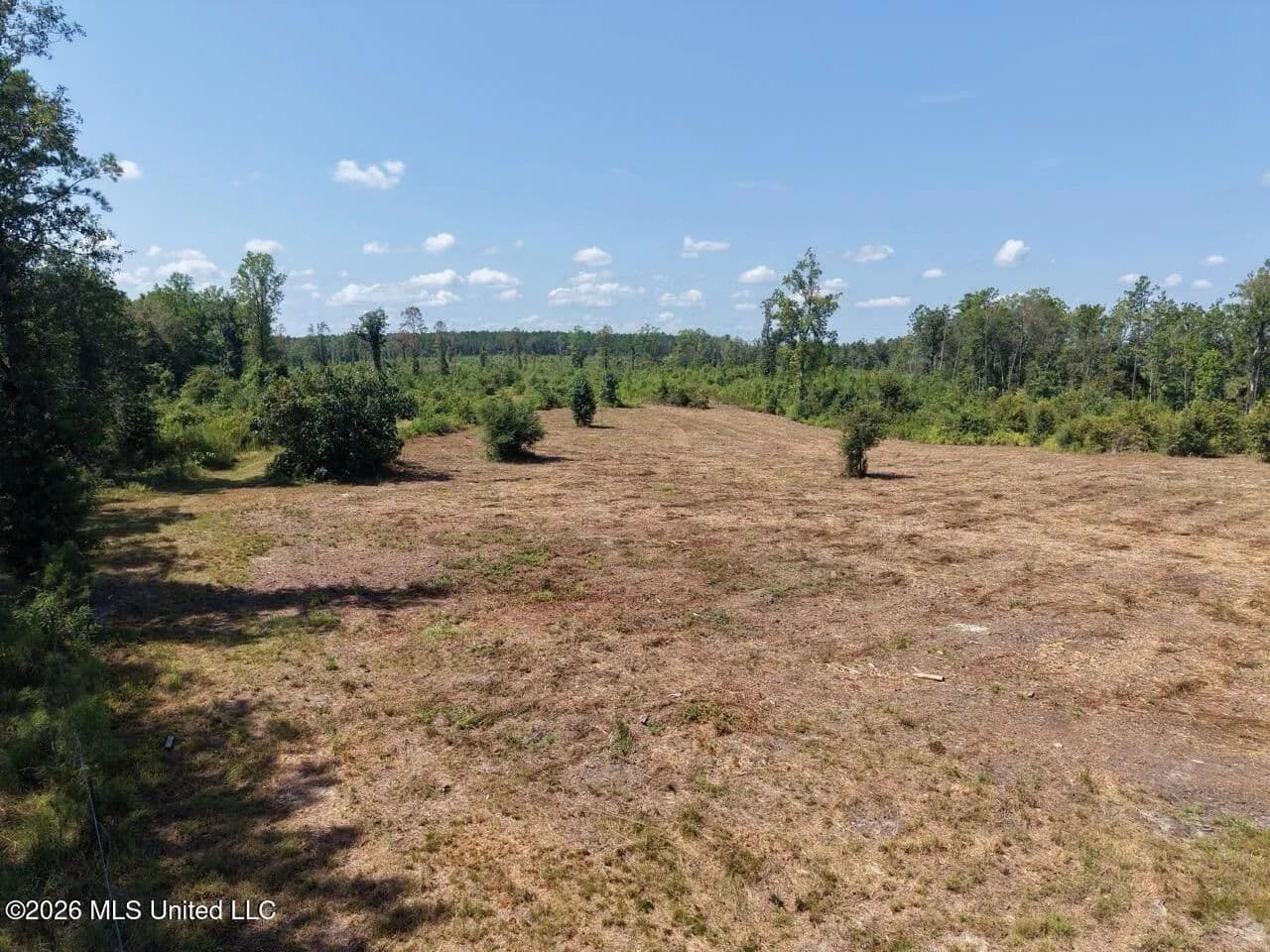147± Acre Hunting Property in Plainview, LA - Bogalusa, Louisiana, 70427