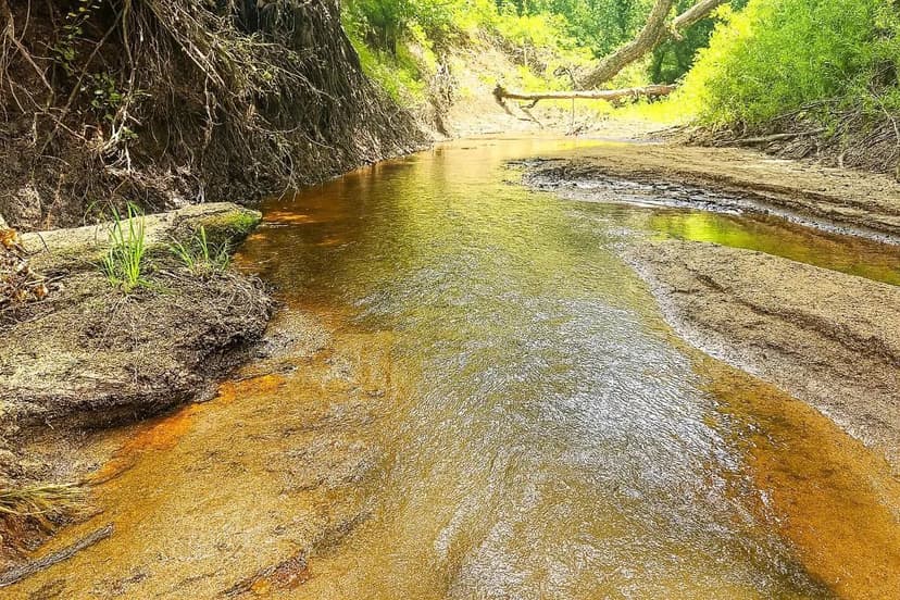 Property from 0000 FM 2749 - KW