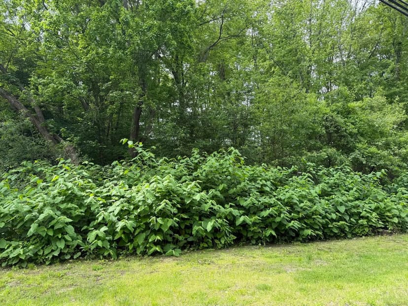 Property from 2 Sandra Avenue - KW